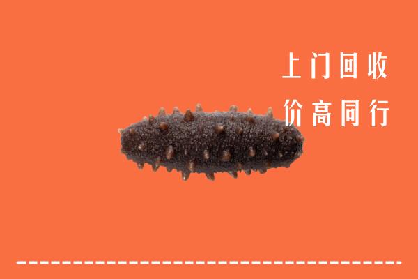 通化高价回收海参